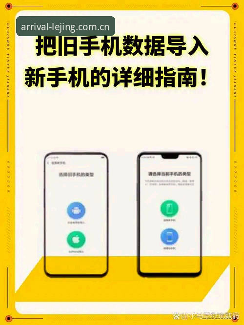 乐竞体育平台移动端入口深度解析：从数据查询到账号管理的决策指南